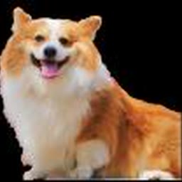 Reference dog