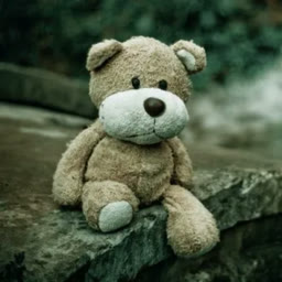 Reference teddy bear